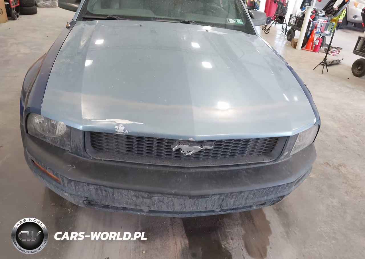 2007 Ford Mustang V6 Deluxe-V6 Premium VIN:1ZVFT84N875295994 - 6
