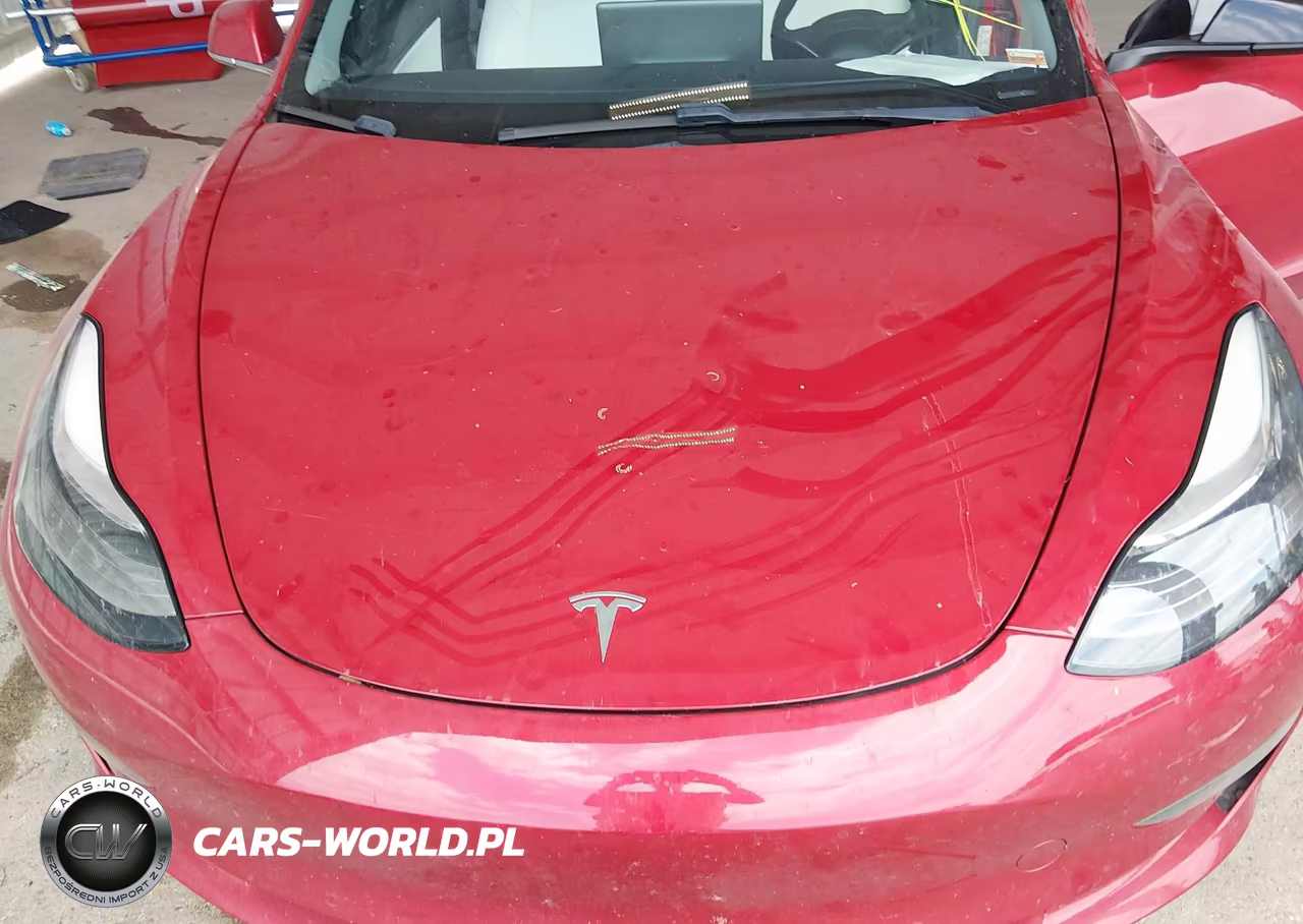 2020 Tesla Model 3 Standard Range Plus Rear-Wheel Drive-Standard Range Rear-Wheel Drive VIN:5YJ3E1EA0LF804861 - 10