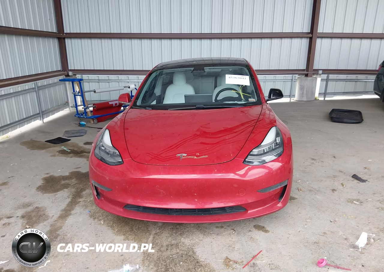 2020 Tesla Model 3 Standard Range Plus Rear-Wheel Drive-Standard Range Rear-Wheel Drive VIN:5YJ3E1EA0LF804861 - 12