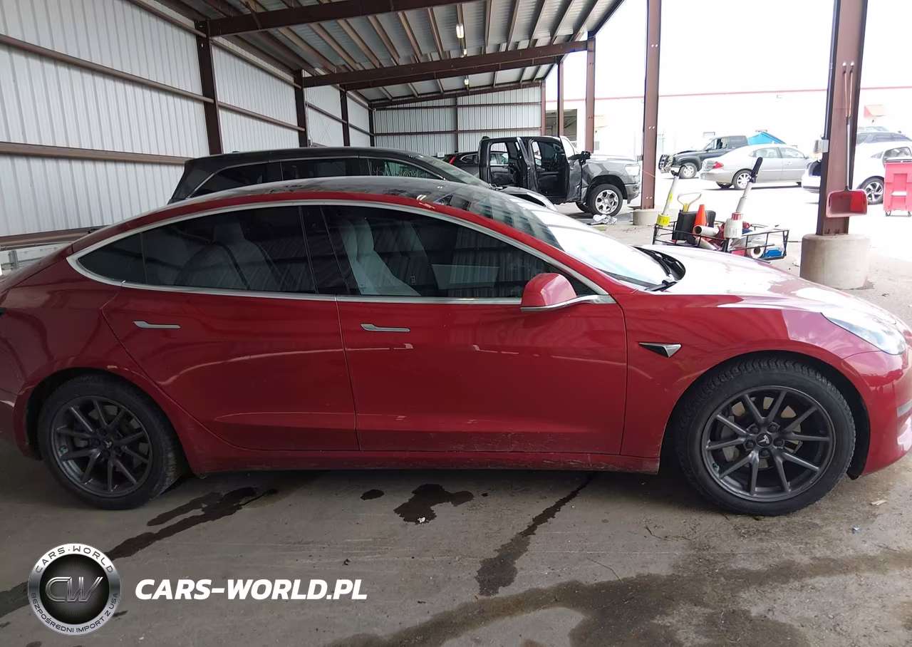 2020 Tesla Model 3 Standard Range Plus Rear-Wheel Drive-Standard Range Rear-Wheel Drive VIN:5YJ3E1EA0LF804861 - 13