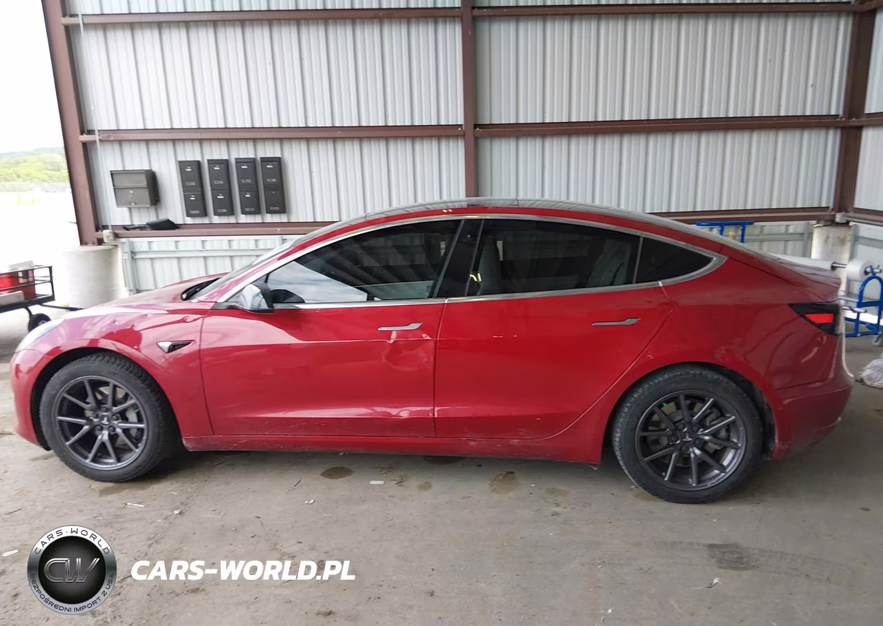 2020 Tesla Model 3 Standard Range Plus Rear-Wheel Drive-Standard Range Rear-Wheel Drive VIN:5YJ3E1EA0LF804861 - 14
