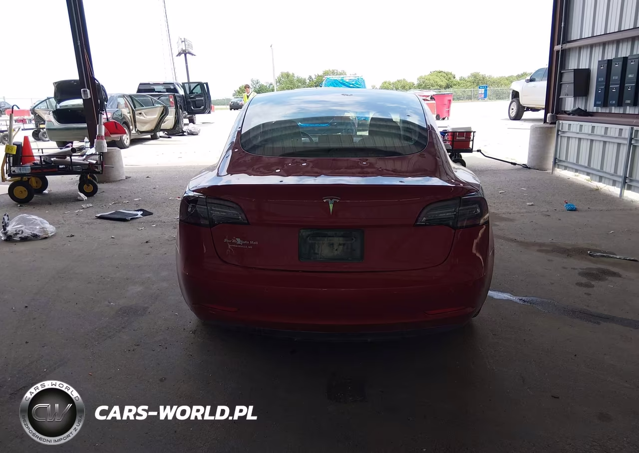 2020 Tesla Model 3 Standard Range Plus Rear-Wheel Drive-Standard Range Rear-Wheel Drive VIN:5YJ3E1EA0LF804861 - 16