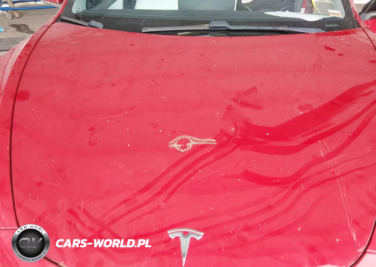 2020 Tesla Model 3 Standard Range Plus Rear-Wheel Drive-Standard Range Rear-Wheel Drive VIN:5YJ3E1EA0LF804861 - 6