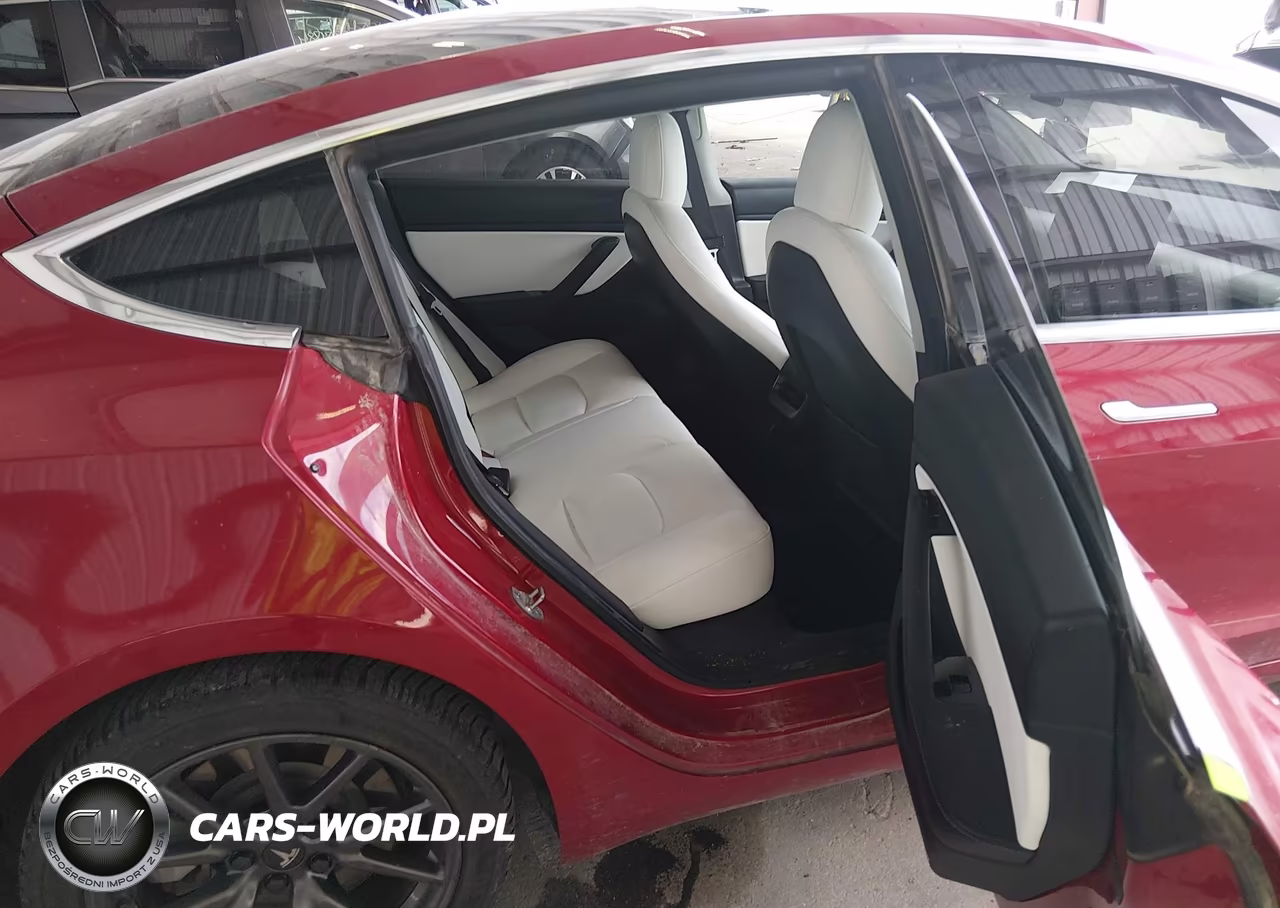 2020 Tesla Model 3 Standard Range Plus Rear-Wheel Drive-Standard Range Rear-Wheel Drive VIN:5YJ3E1EA0LF804861 - 8