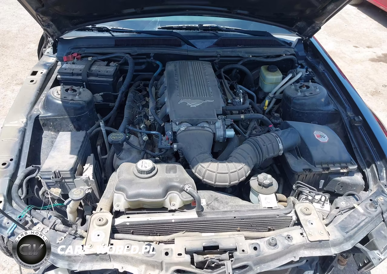 2008 Ford Mustang Gt Deluxe-Gt Premium VIN:1ZVHT82H285160274 - 10