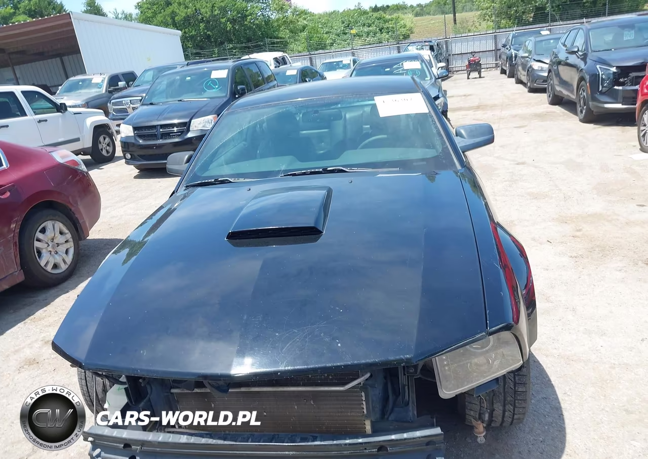 2008 Ford Mustang Gt Deluxe-Gt Premium VIN:1ZVHT82H285160274 - 13