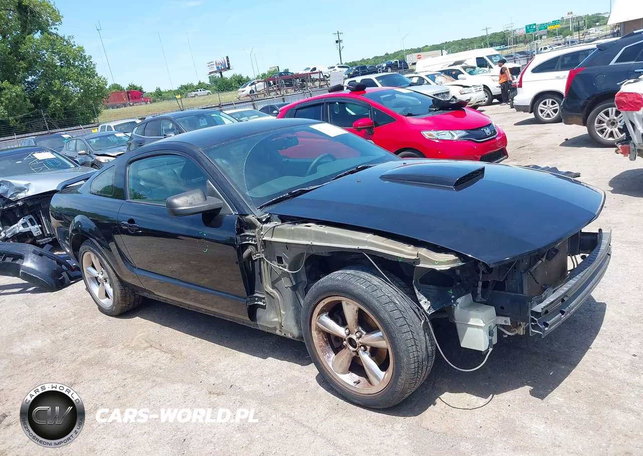 2008 Ford Mustang Gt Deluxe-Gt Premium VIN:1ZVHT82H285160274 - 14