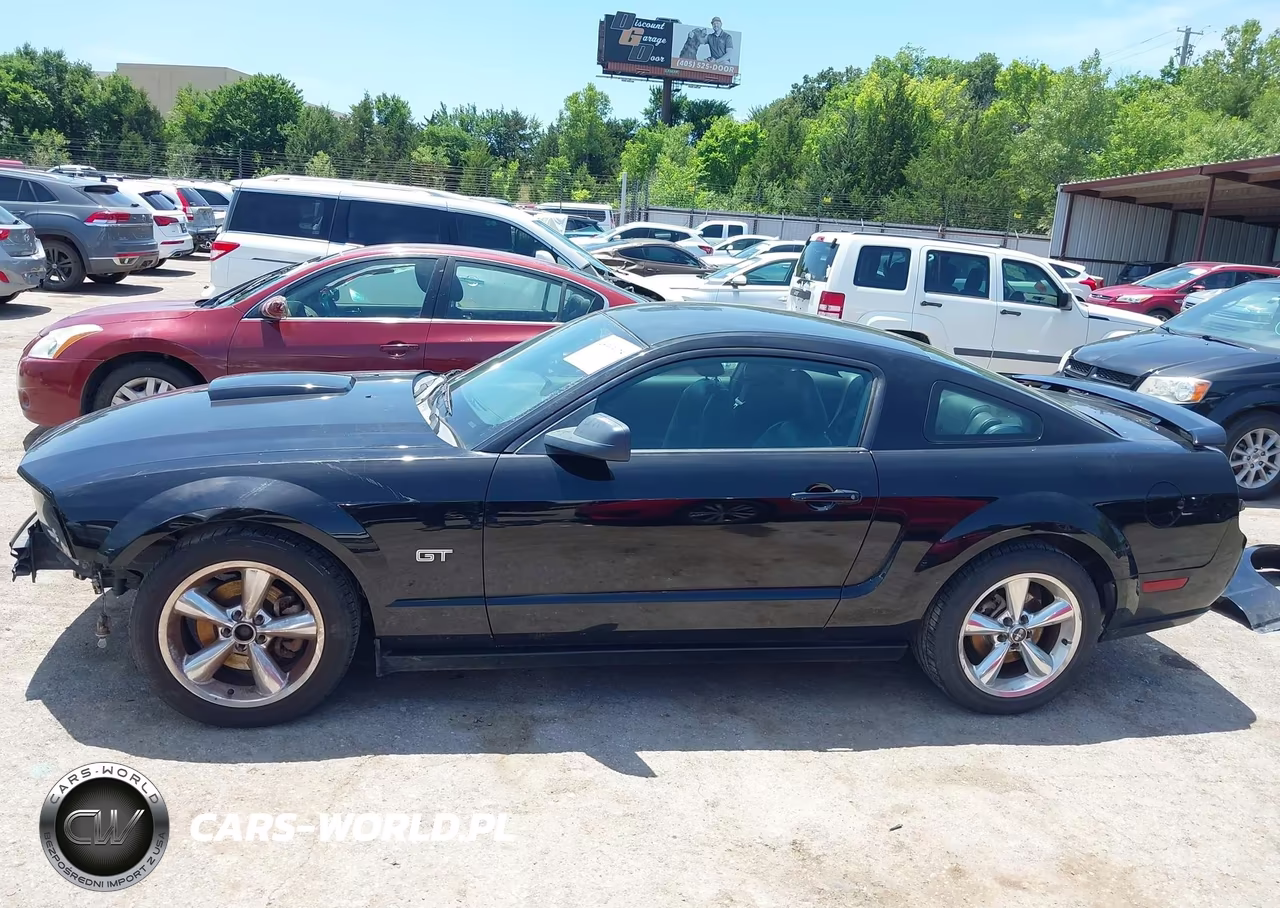 2008 Ford Mustang Gt Deluxe-Gt Premium VIN:1ZVHT82H285160274 - 15