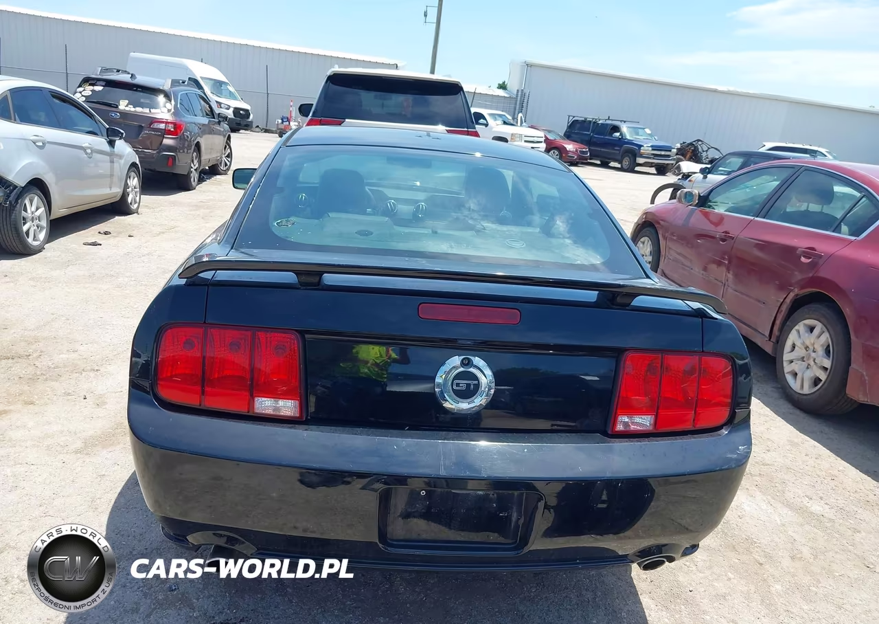 2008 Ford Mustang Gt Deluxe-Gt Premium VIN:1ZVHT82H285160274 - 17
