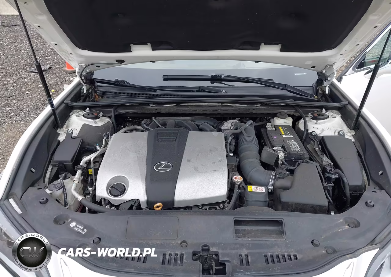 2020 Lexus Es 350 Luxury VIN:58AEZ1B11LU074665 - 10