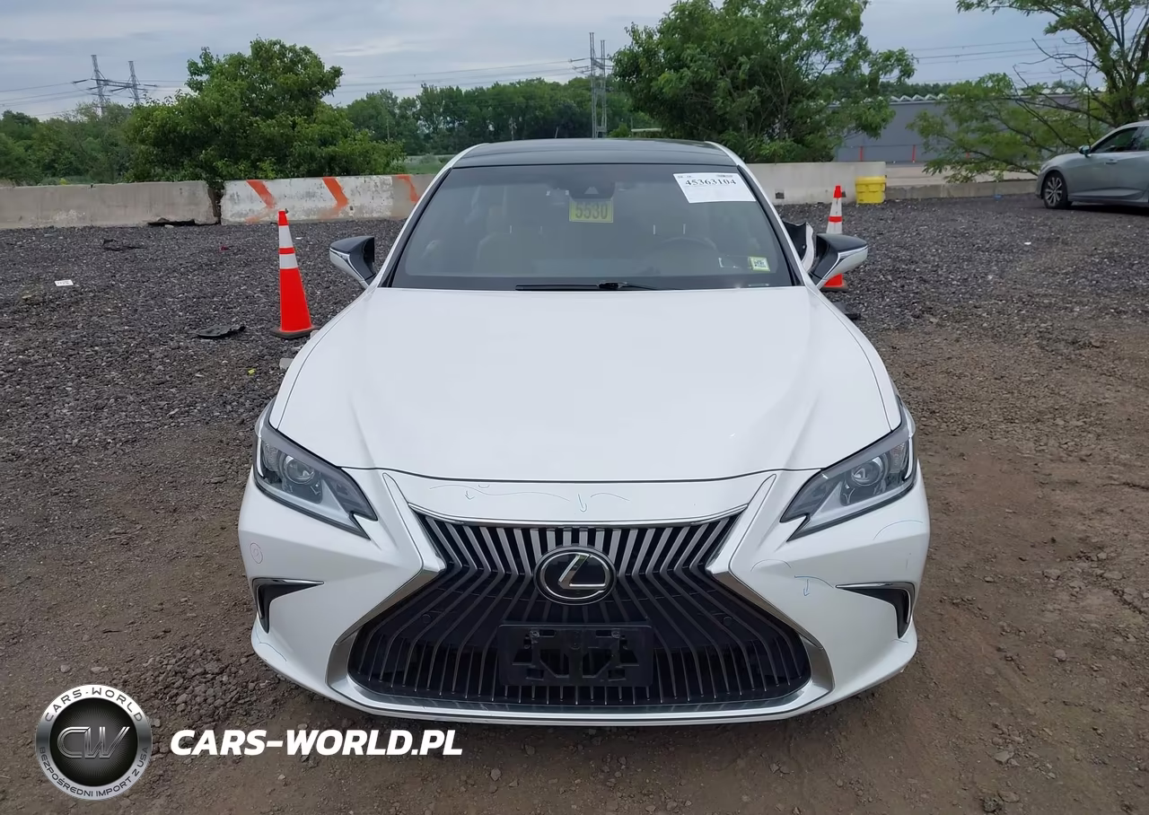 2020 Lexus Es 350 Luxury VIN:58AEZ1B11LU074665 - 12