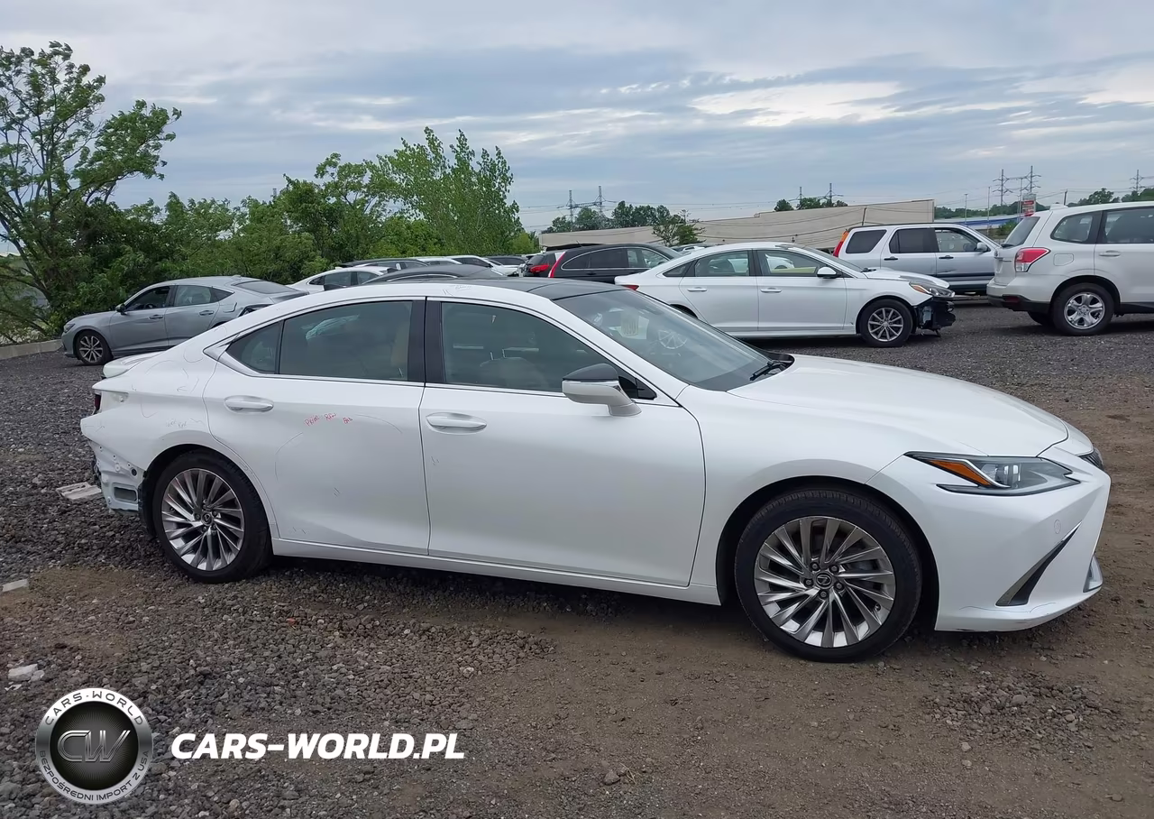 2020 Lexus Es 350 Luxury VIN:58AEZ1B11LU074665 - 13