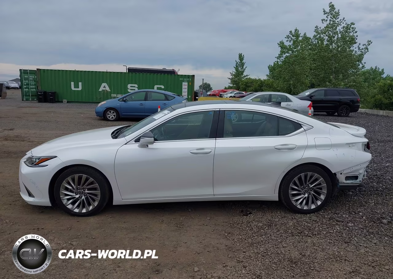 2020 Lexus Es 350 Luxury VIN:58AEZ1B11LU074665 - 14