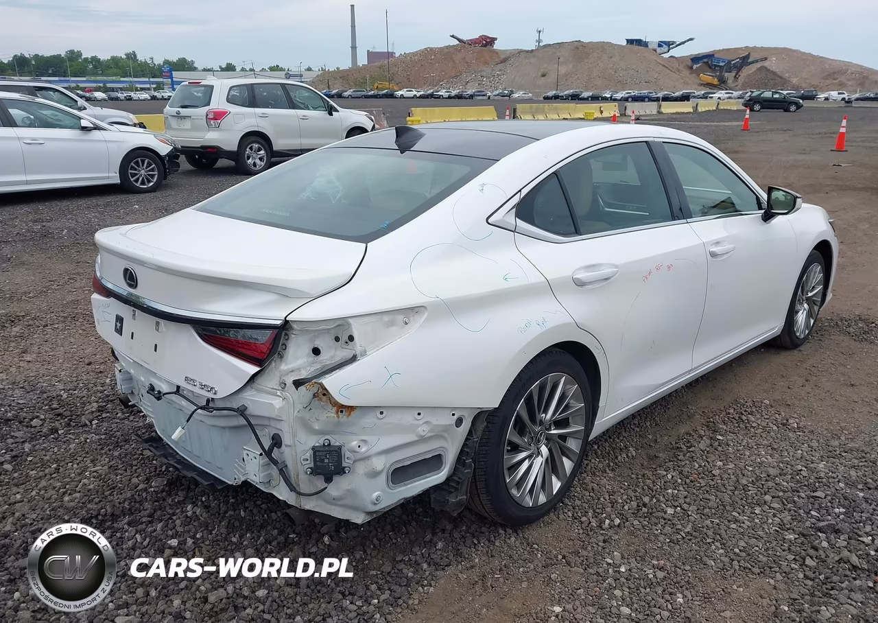 2020 Lexus Es 350 Luxury VIN:58AEZ1B11LU074665 - 4