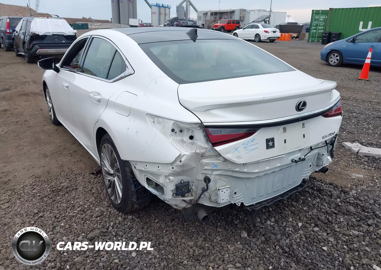 2020 Lexus Es 350 Luxury VIN:58AEZ1B11LU074665 - 6
