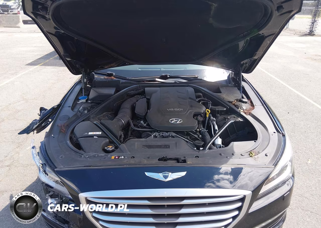 2016 Hyundai Genesis 3.8 VIN:KMHGN4JE8GU128387 - 10