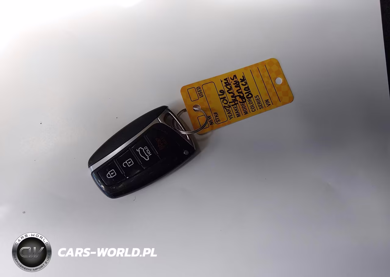 2016 Hyundai Genesis 3.8 VIN:KMHGN4JE8GU128387 - 11