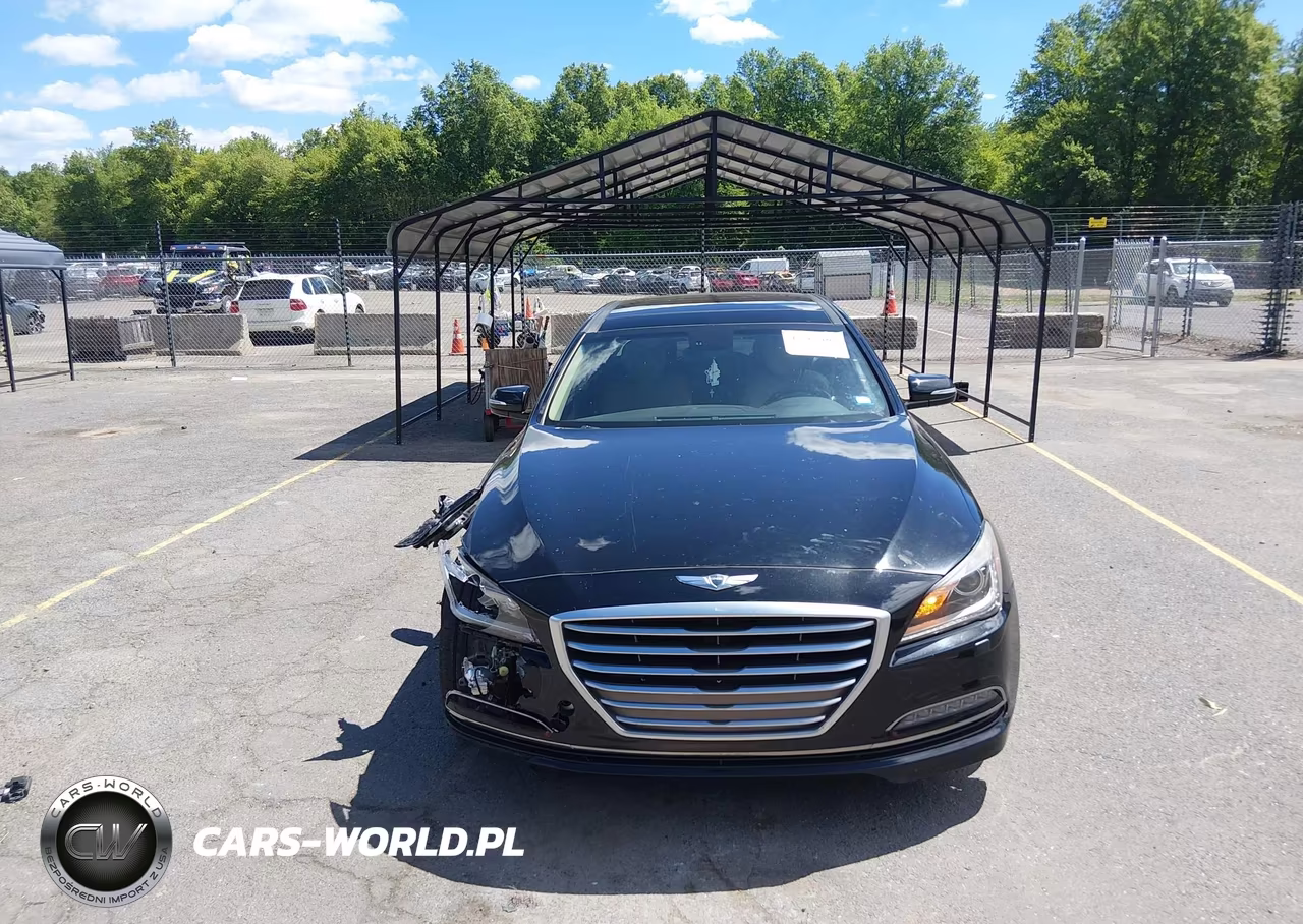 2016 Hyundai Genesis 3.8 VIN:KMHGN4JE8GU128387 - 12