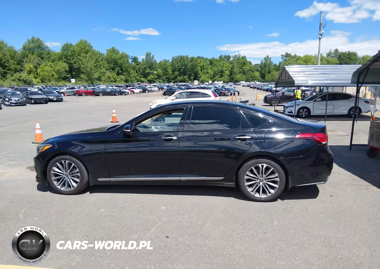 2016 Hyundai Genesis 3.8 VIN:KMHGN4JE8GU128387 - 14