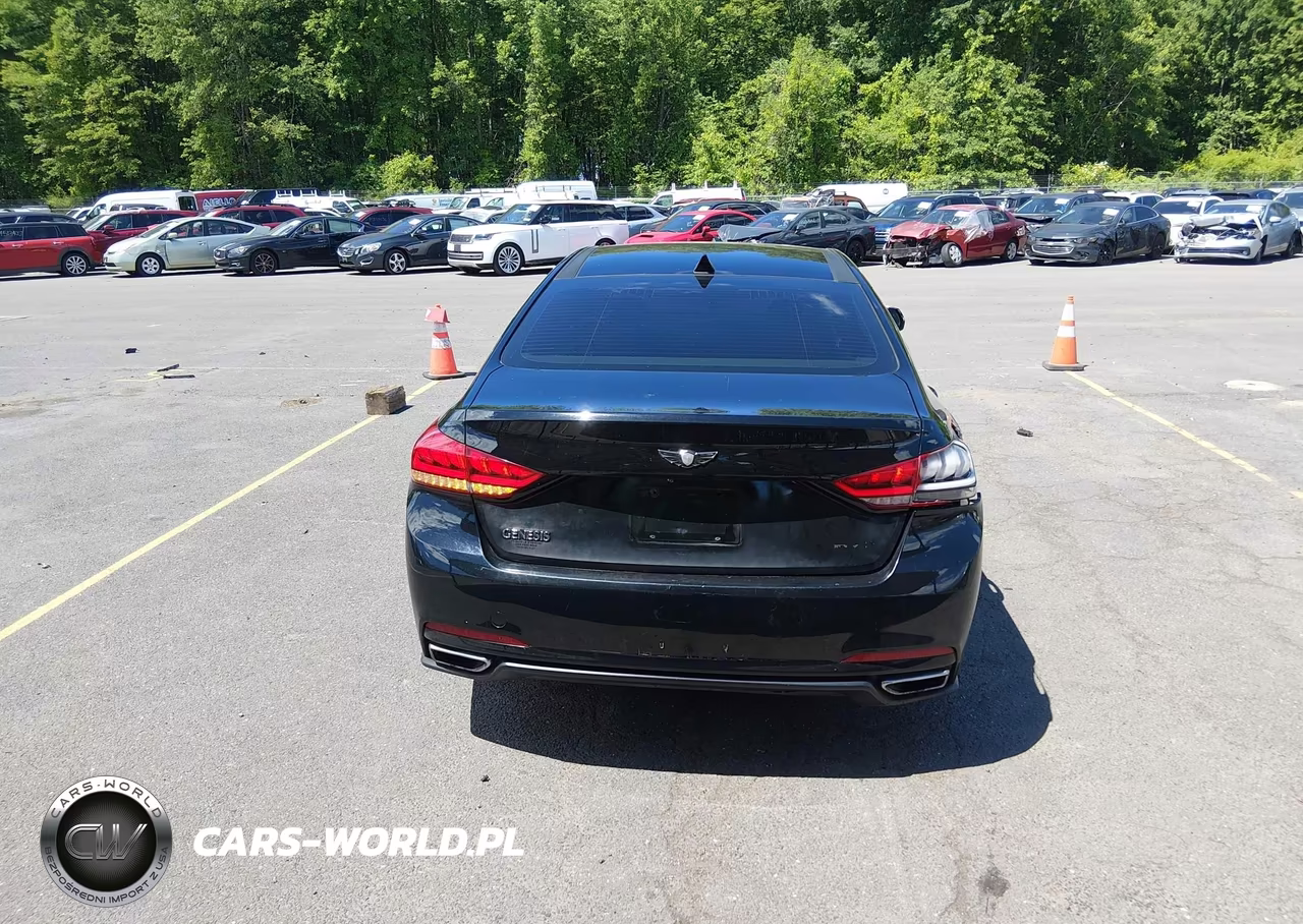 2016 Hyundai Genesis 3.8 VIN:KMHGN4JE8GU128387 - 16