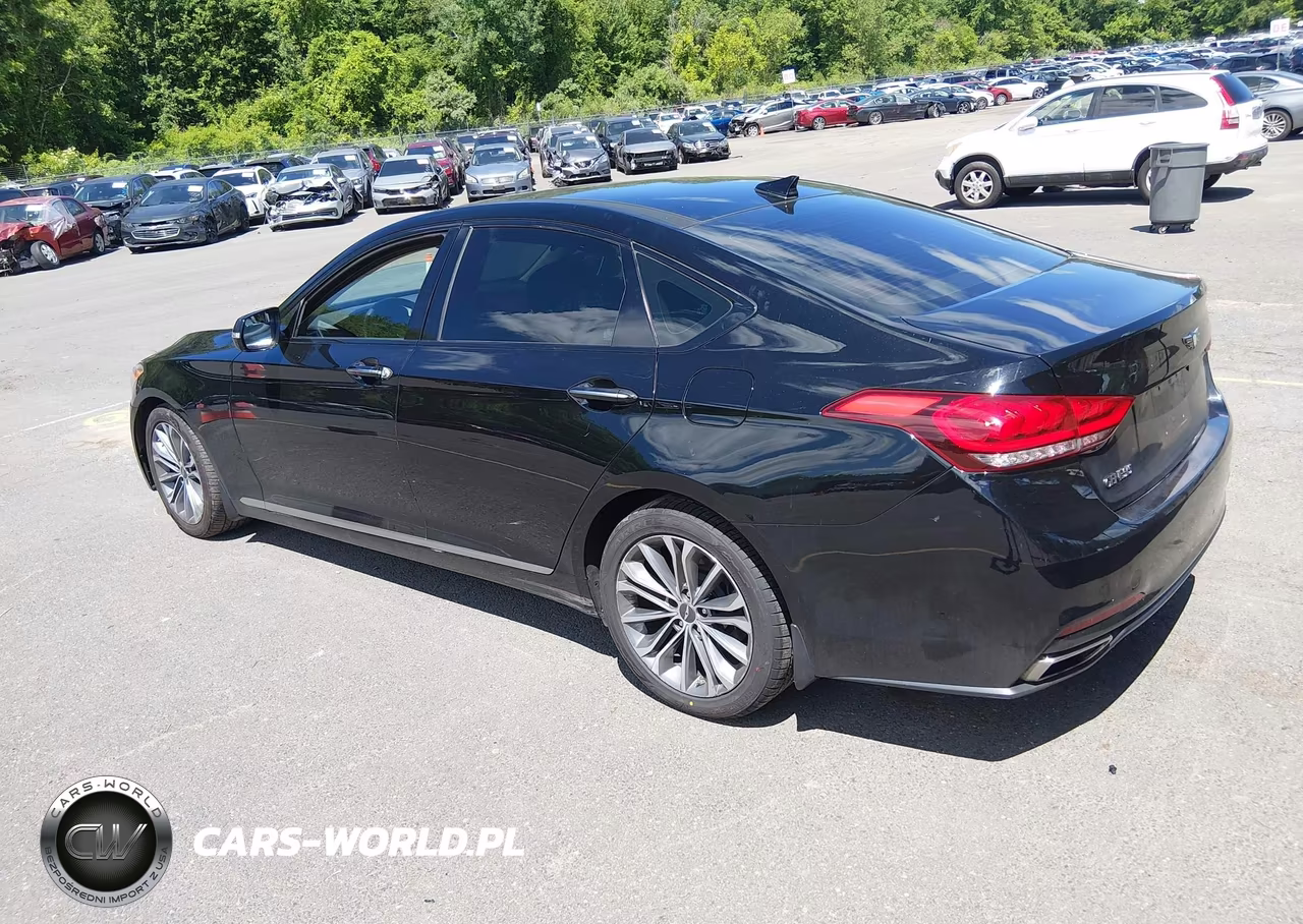 2016 Hyundai Genesis 3.8 VIN:KMHGN4JE8GU128387 - 3
