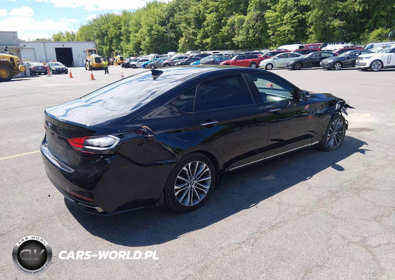 2016 Hyundai Genesis 3.8 VIN:KMHGN4JE8GU128387 - 4
