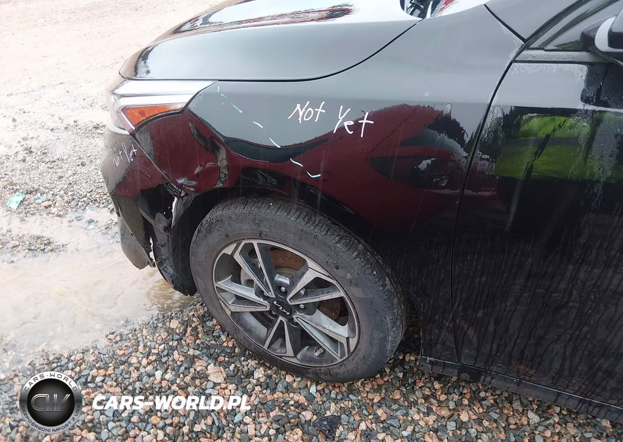 2024 Kia Forte Lxs VIN:3KPF24AD4RE752639 - 17
