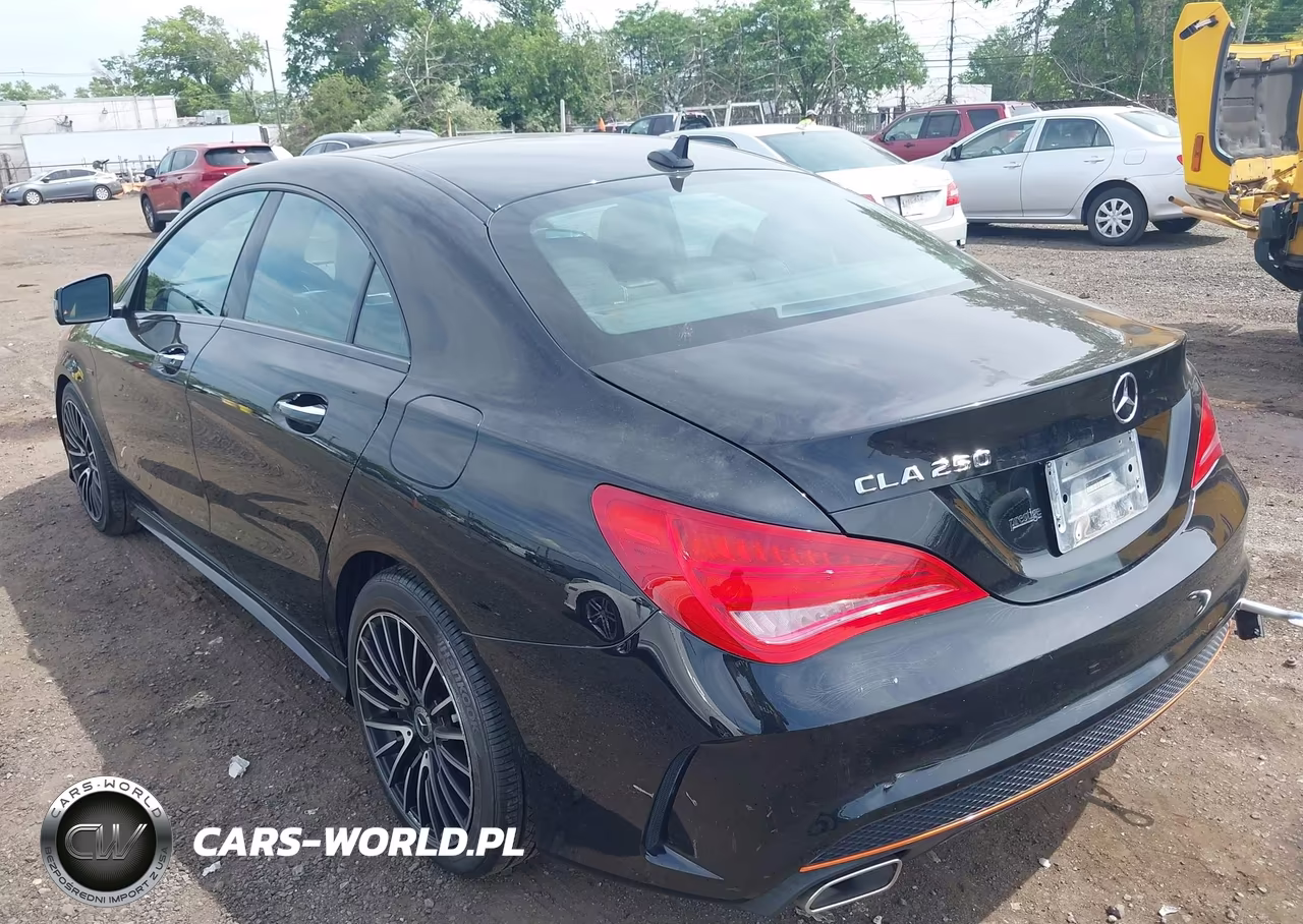 2016 Mercedes-Benz Cla 250 VIN:WDDSJ4EB3GN299347 - 12