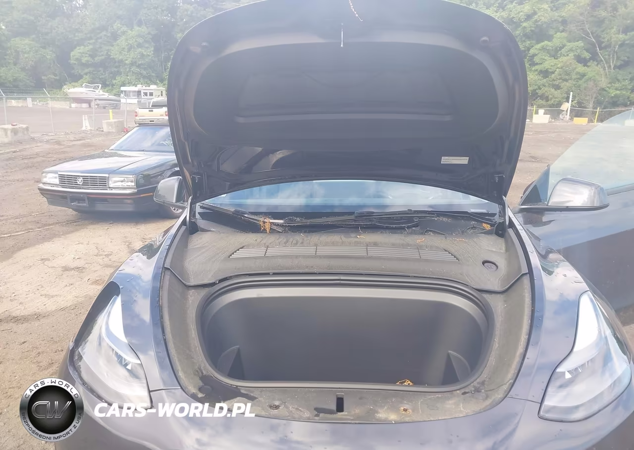 2024 Tesla Model Y Long Range Dual Motor All-Wheel Drive VIN:7SAYGDEE4RA274441 - 10