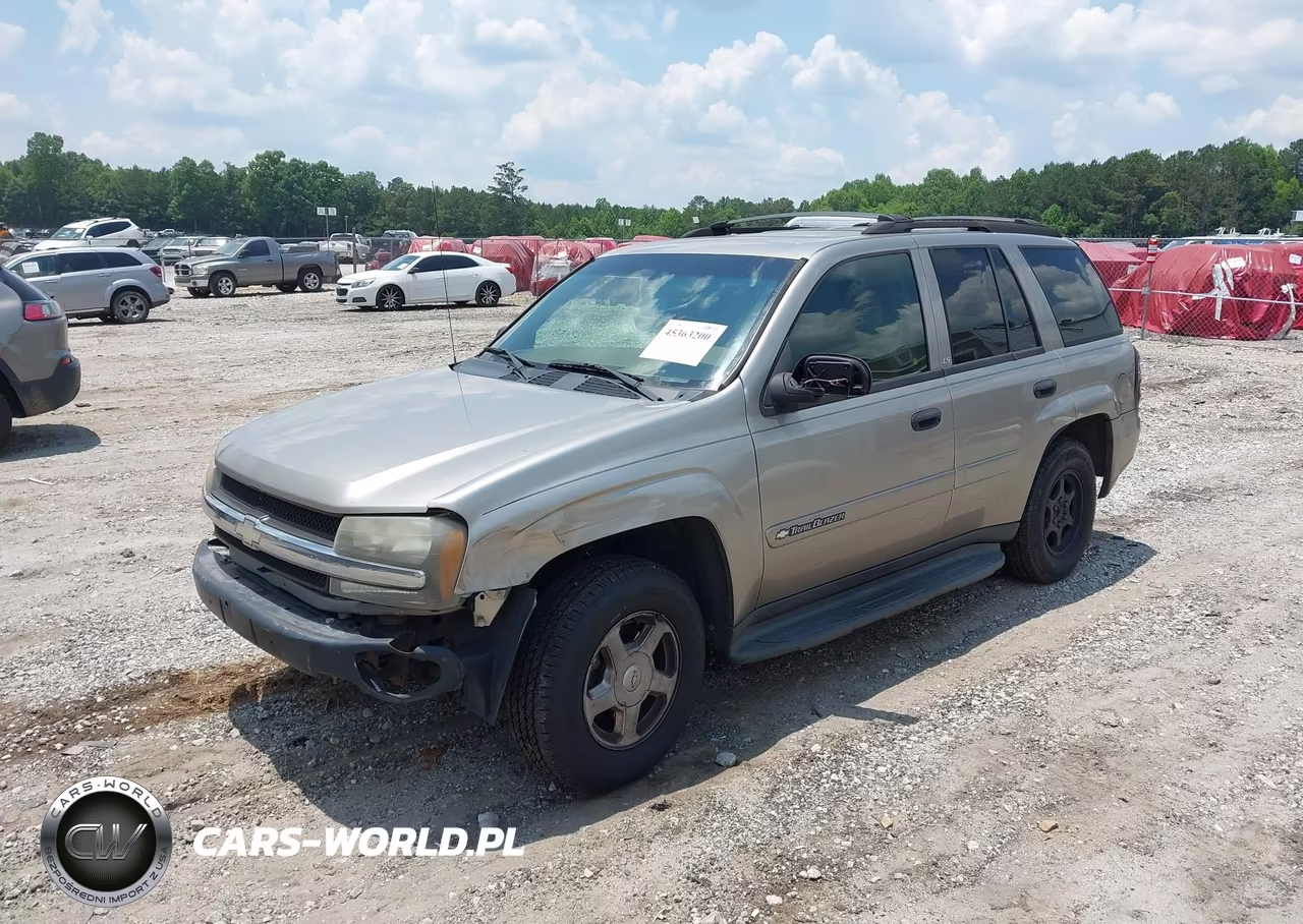 2002 Chevrolet Trailblazer Ls VIN:1GNDT13S722446852 - 2