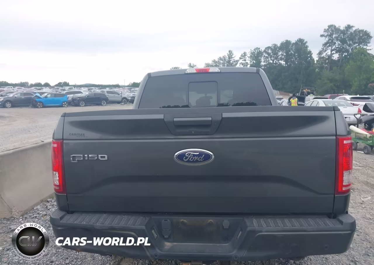 2016 Ford F-150 Lariat-Xl-Xlt VIN:1FTEW1CP6GFC11150 - 16