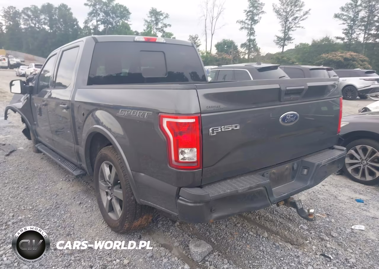 2016 Ford F-150 Lariat-Xl-Xlt VIN:1FTEW1CP6GFC11150 - 3