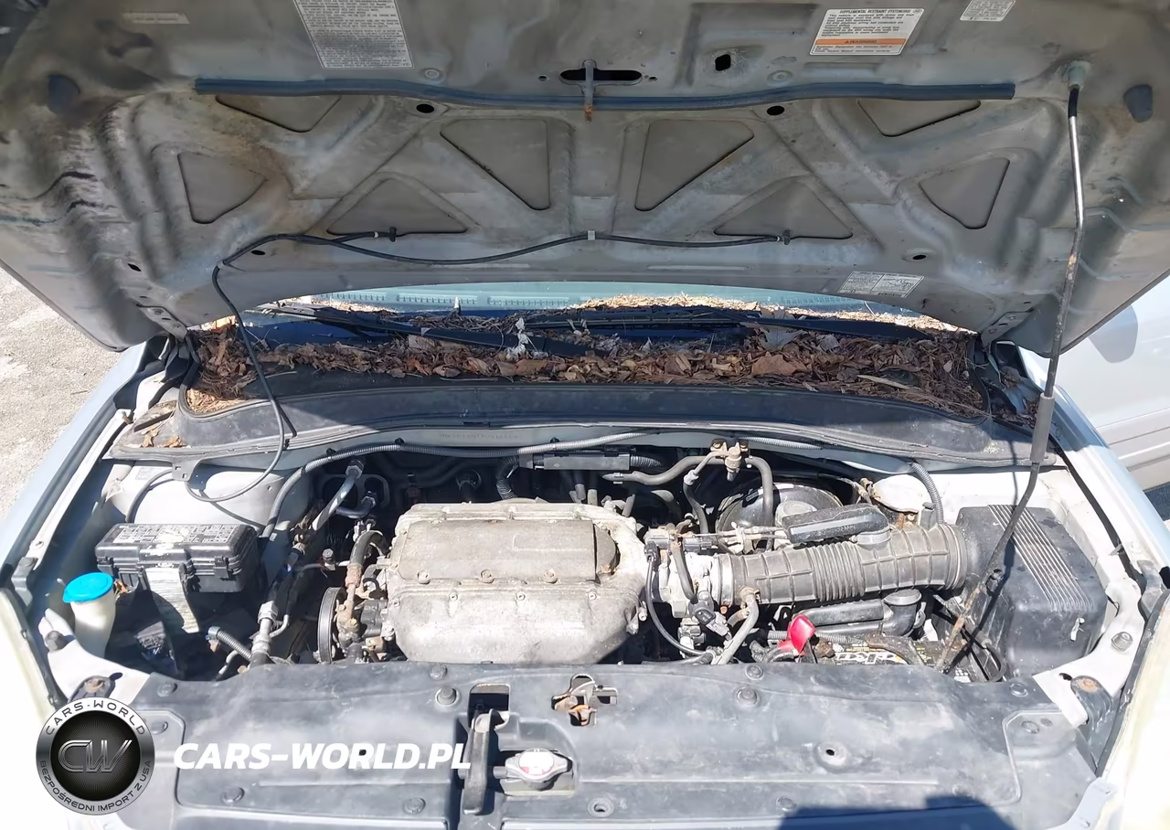 2004 Honda Pilot Ex-L VIN:2HKYF18614H613558 - 10