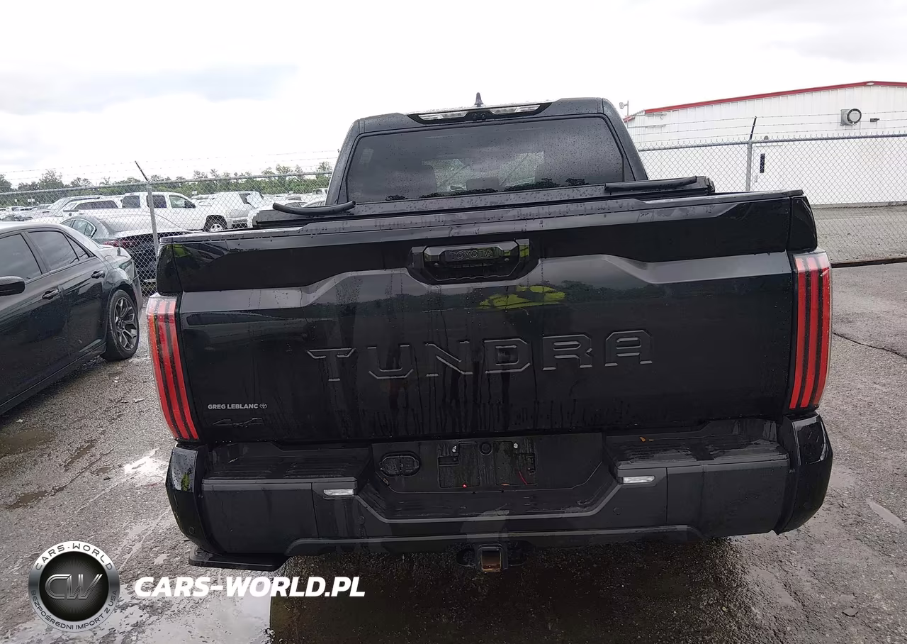 2025 Toyota Tundra Limited VIN:5TFWA5DBXSX328620 - 17
