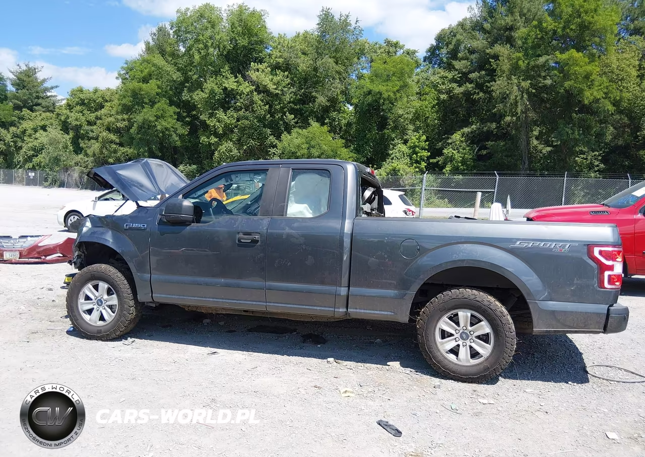 2020 Ford F-150 Xl VIN:1FTEX1EB8LFA82501 - 15