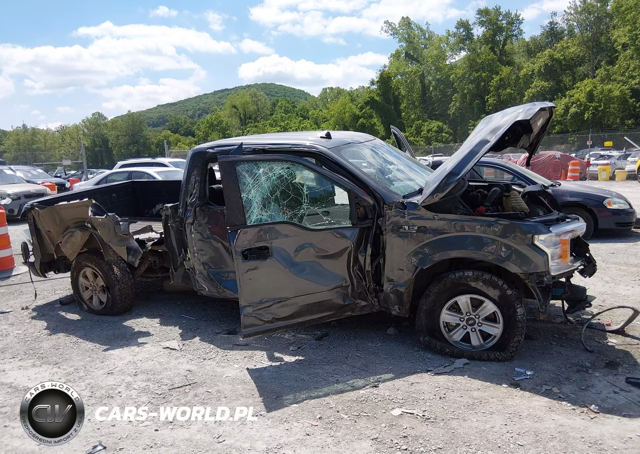 2020 Ford F-150 Xl VIN:1FTEX1EB8LFA82501 - 6