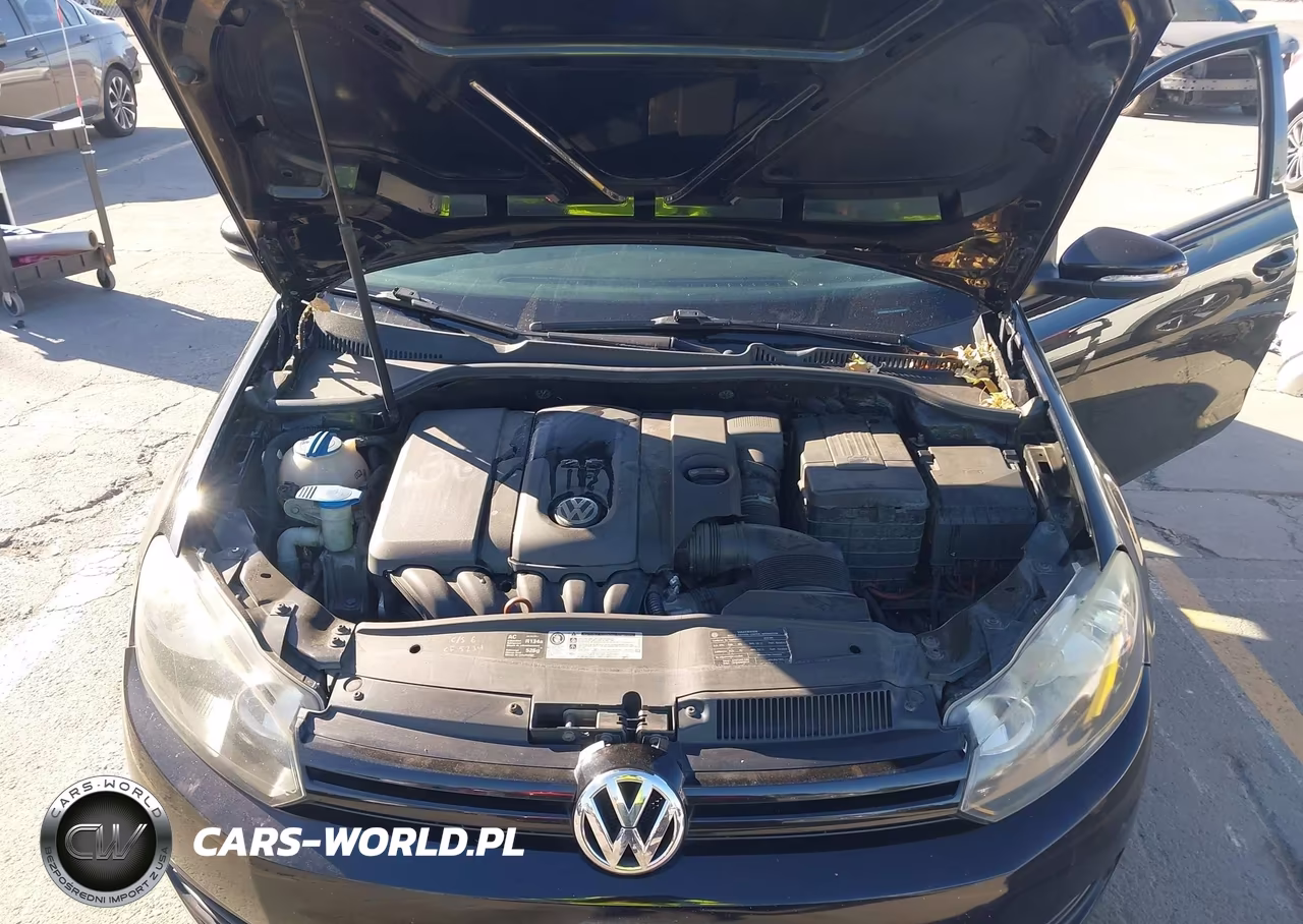 2010 Volkswagen Golf 2-Door VIN:WVWBB7AJ2AW310801 - 10