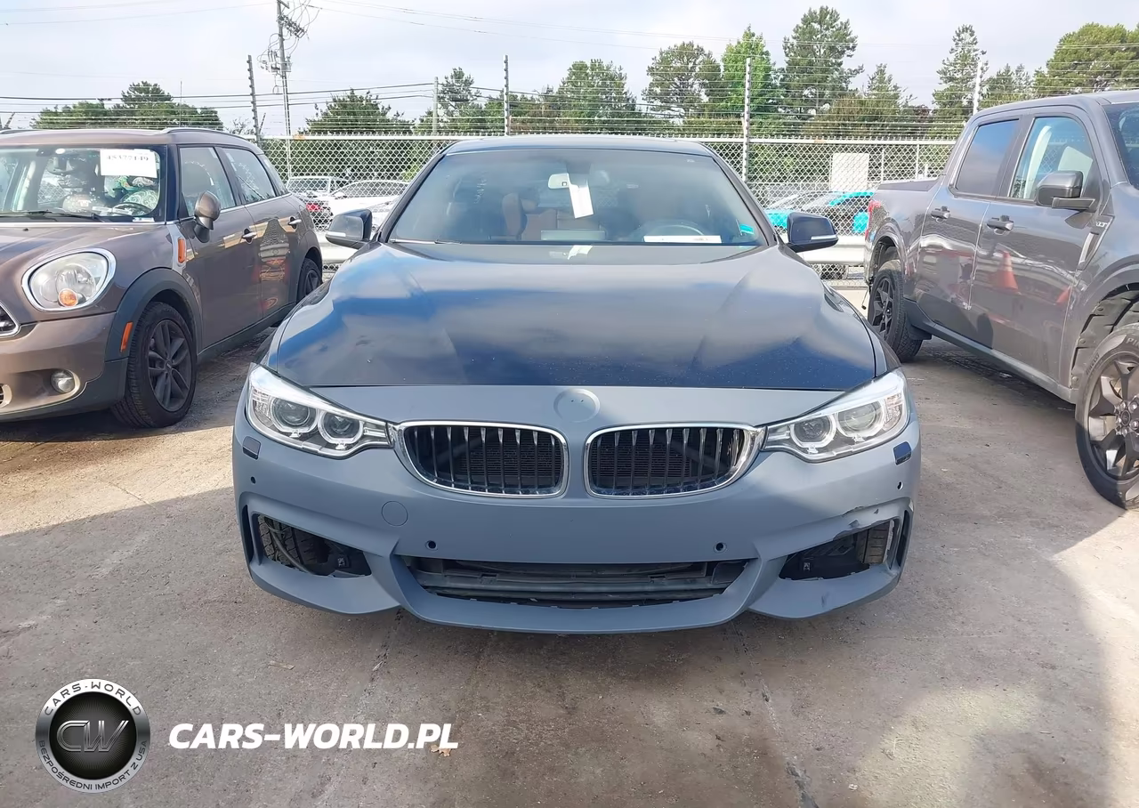 2017 BMW 430I Gran Coupe xDrive VIN:WBA4F9C5XHG792251 - 12