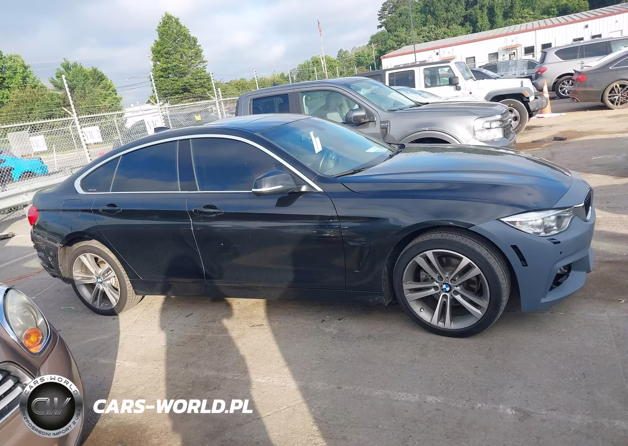 2017 BMW 430I Gran Coupe xDrive VIN:WBA4F9C5XHG792251 - 13