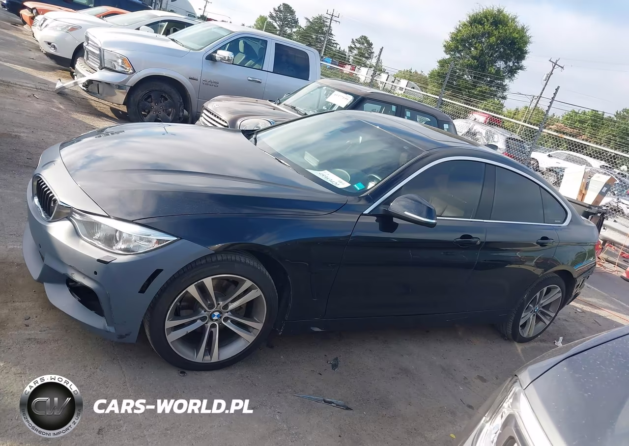 2017 BMW 430I Gran Coupe xDrive VIN:WBA4F9C5XHG792251 - 14