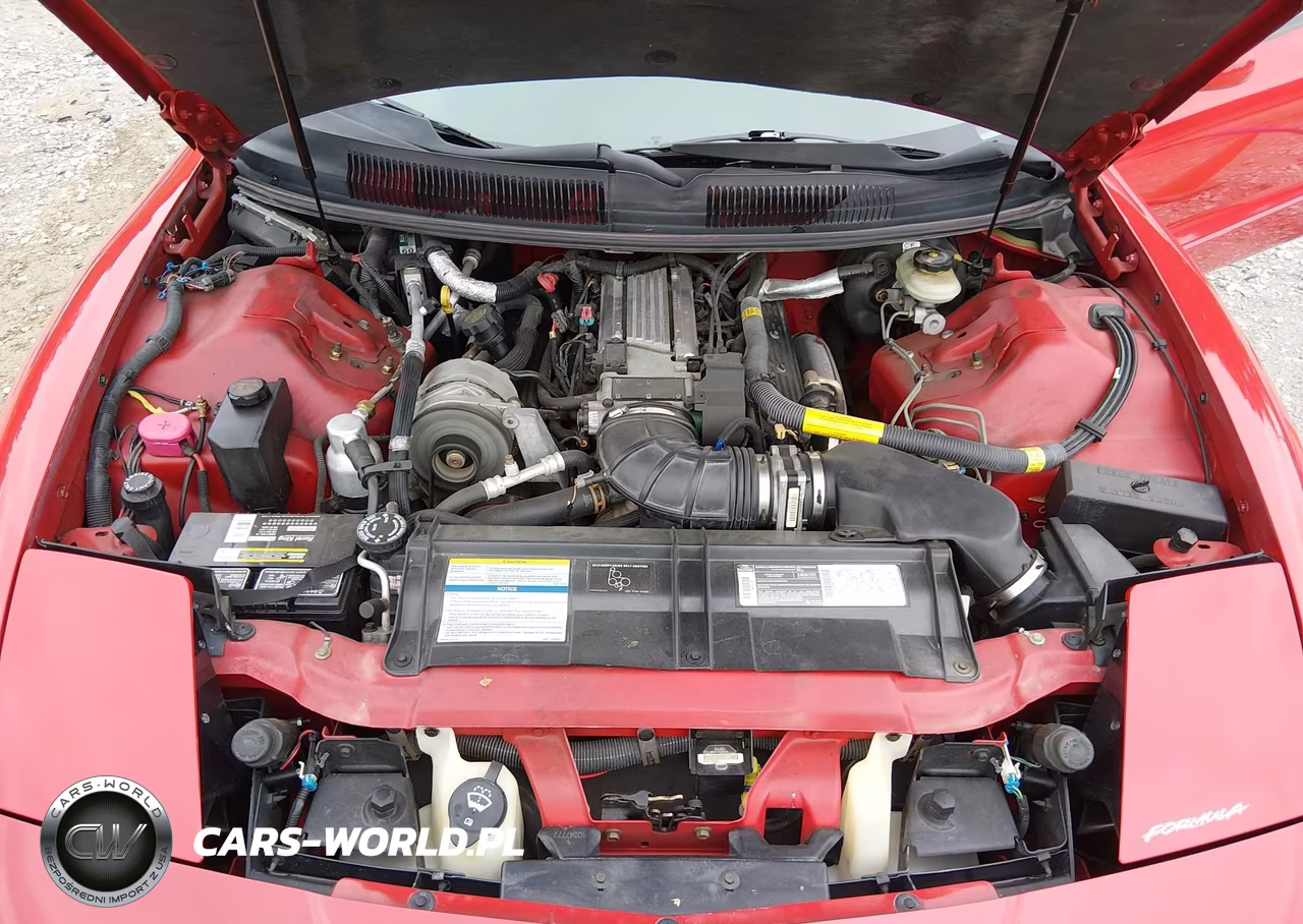 1995 Pontiac Firebird Formula-Trans Am VIN:2G2FV22P9S2239554 - 10