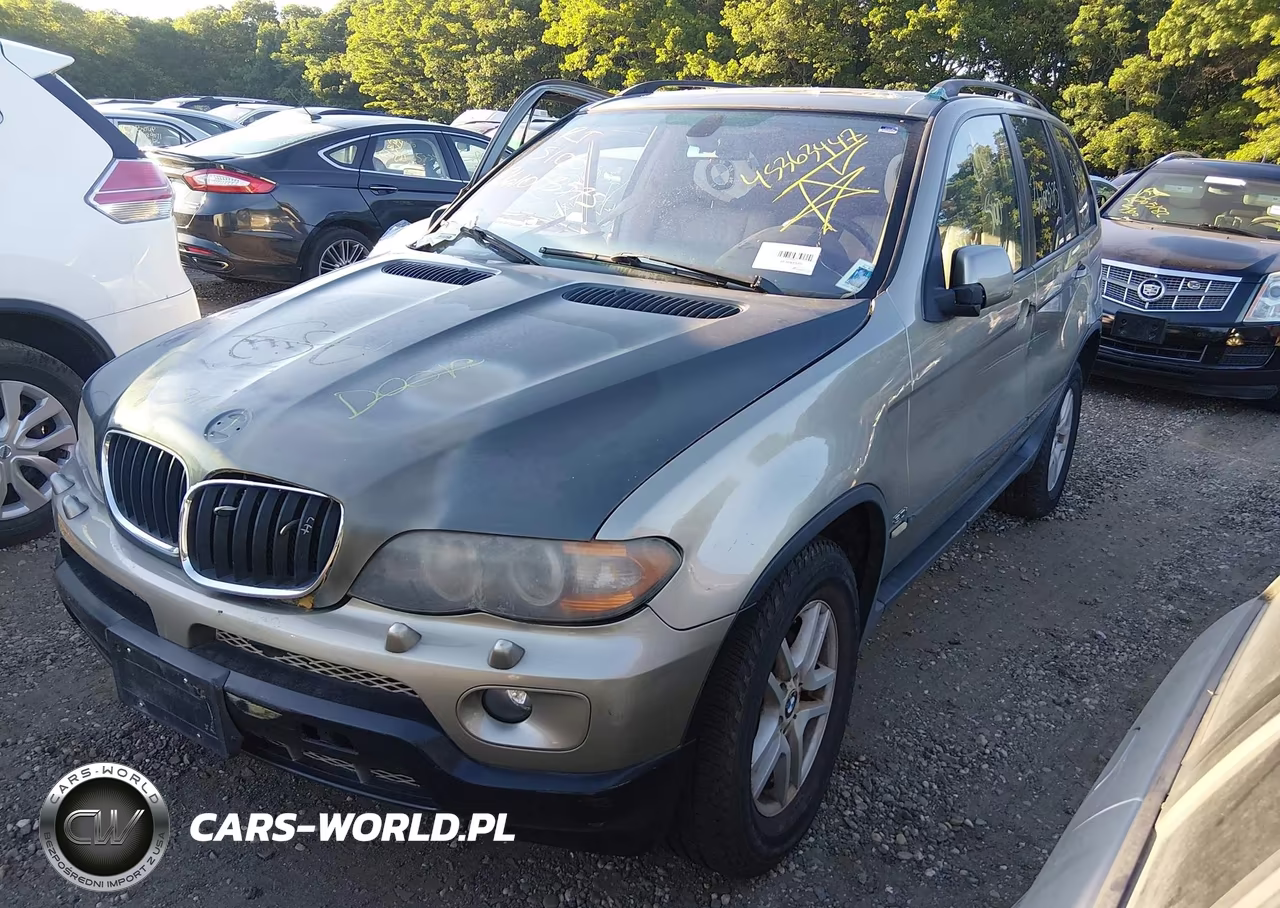 2006 BMW X5 3.0I VIN:5UXFA13586LY41302 - 2