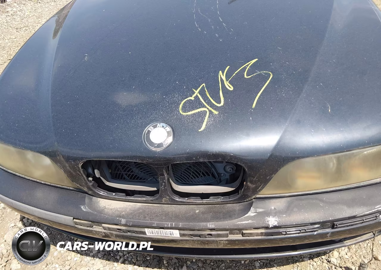 1999 BMW 540I VIN:WBADN533XXGC91758 - 10