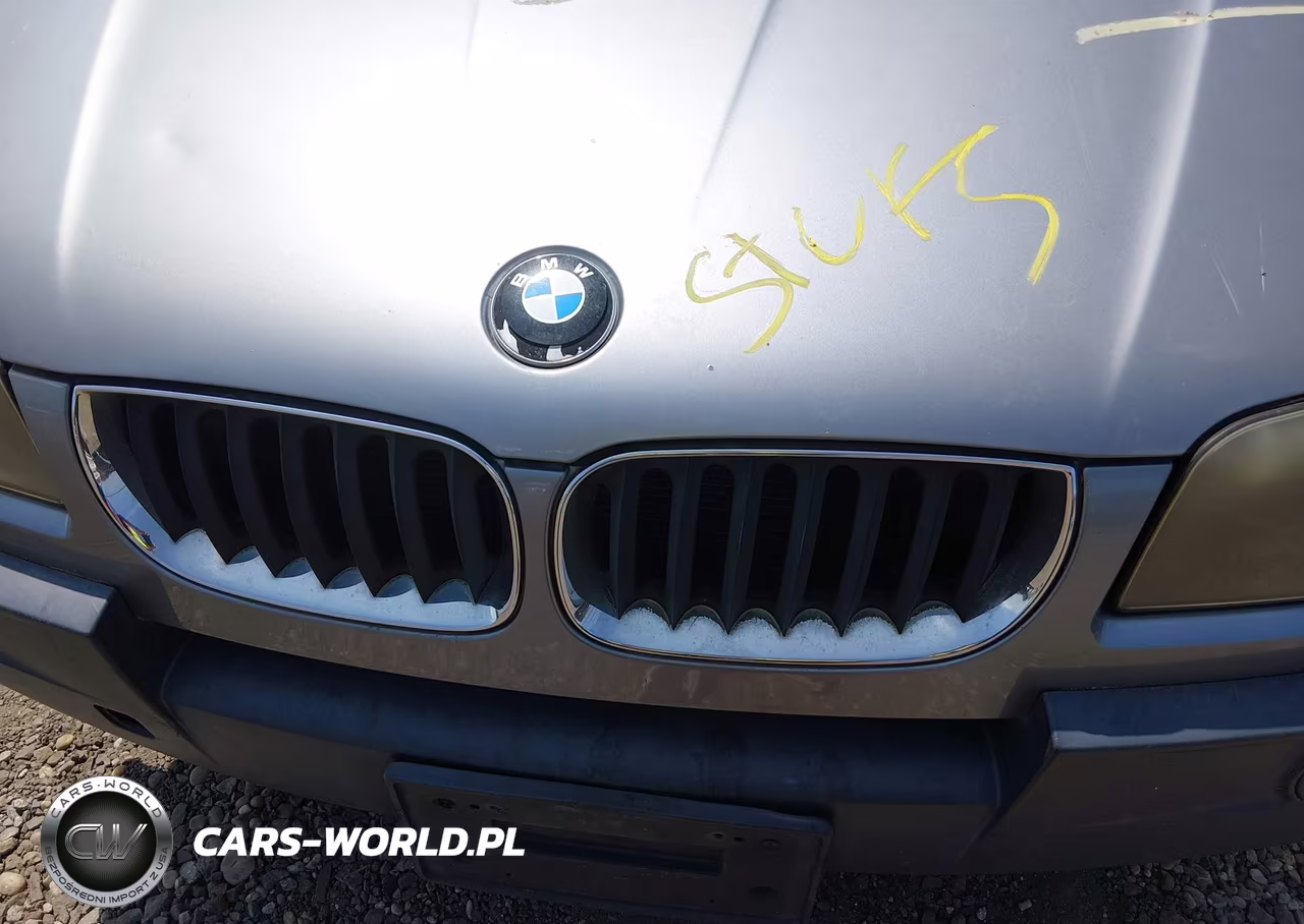 2005 BMW X3 2.5I VIN:WBXPA73465WC51456 - 10