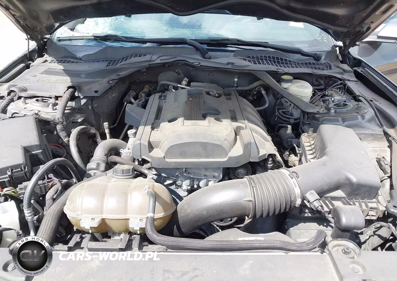 2015 Ford Mustang Ecoboost VIN:1FA6P8TH3F5402375 - 10