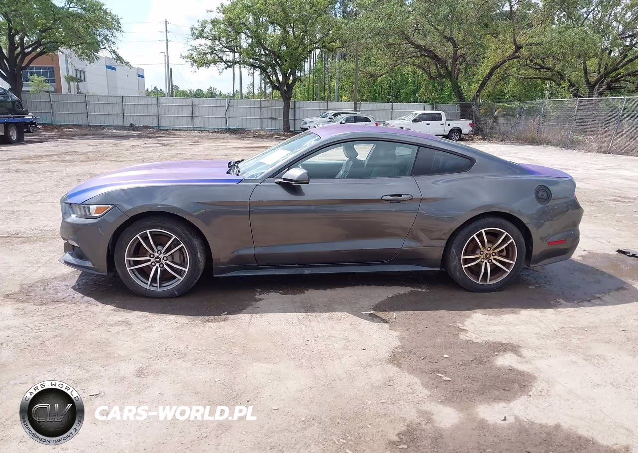 2015 Ford Mustang Ecoboost VIN:1FA6P8TH3F5402375 - 13