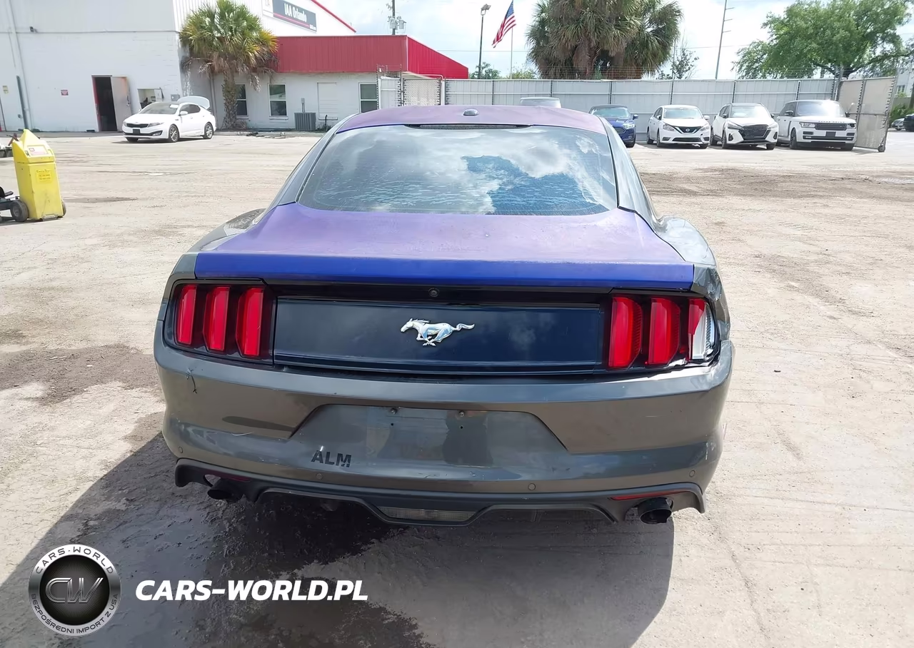 2015 Ford Mustang Ecoboost VIN:1FA6P8TH3F5402375 - 15
