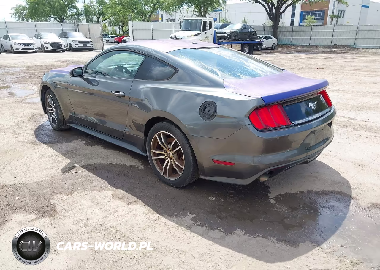2015 Ford Mustang Ecoboost VIN:1FA6P8TH3F5402375 - 3