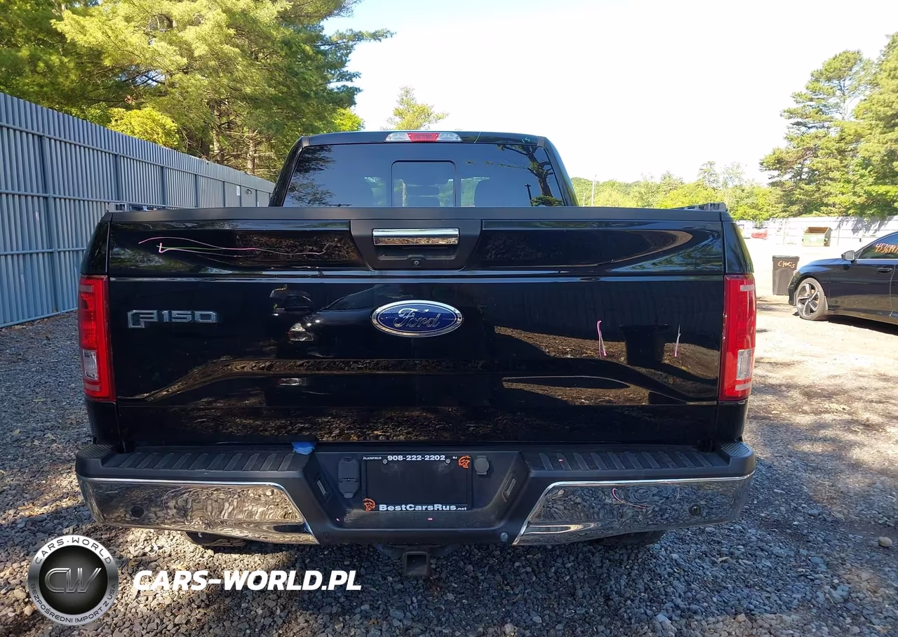 2016 Ford F-150 Xlt VIN:1FTEX1EP6GFC44661 - 16