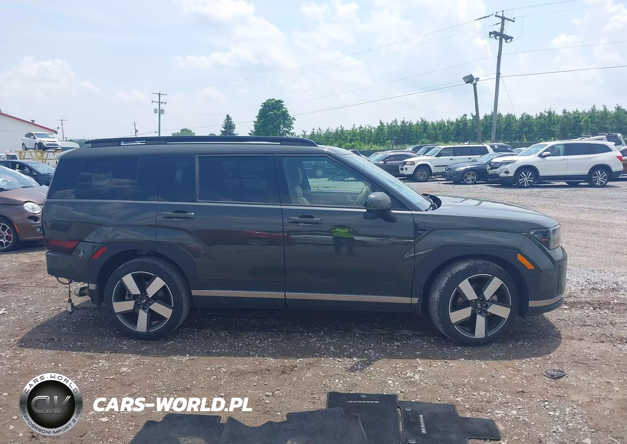 2024 Hyundai Santa Fe Limited VIN:5NMP4DGL2RH011783 - 13